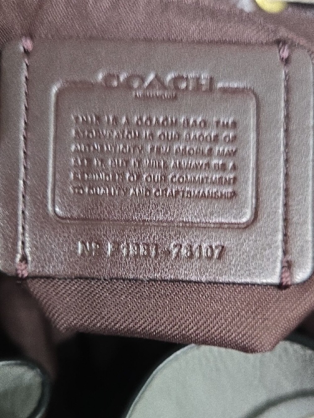 Coach Gray and Cream Leather Drawstring Backpack with Snakeskin Trim - Picture 11 of 14